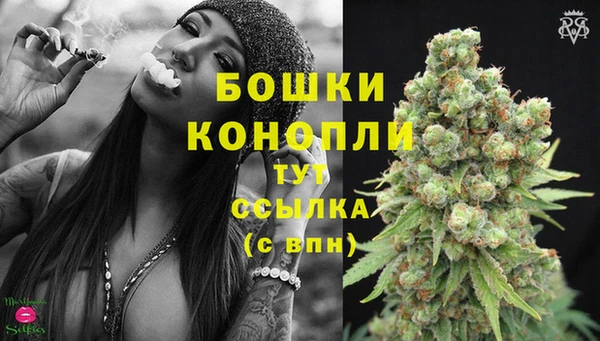 хмурый Сатка