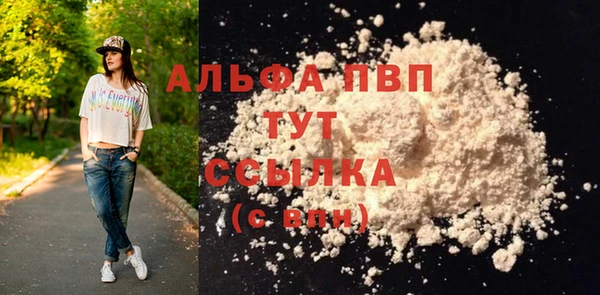 гашик Абаза