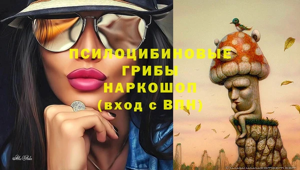 a pvp Абдулино