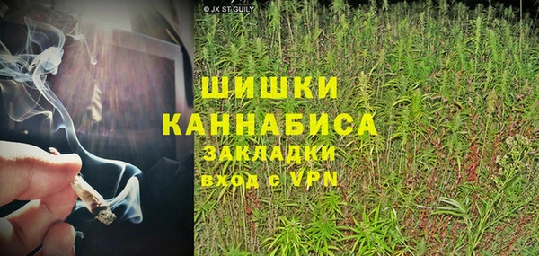 хмурый Сатка