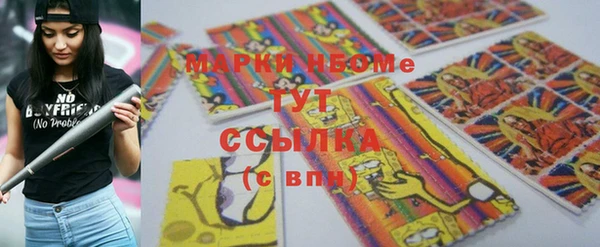 хмурый Сатка