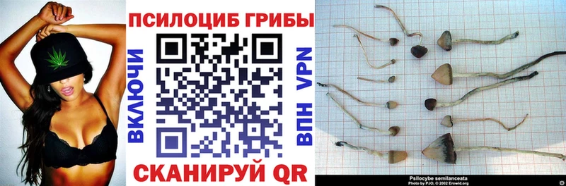 Галлюциногенные грибы мухоморы  Поворино 