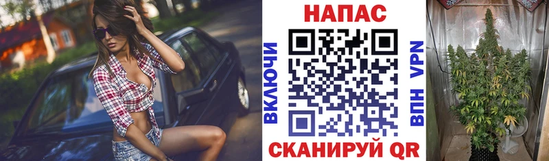 ссылка на мегу зеркало  Поворино  дарк нет формула  Бошки марихуана индика 